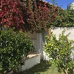 Perto Da Coelha * Albufeira