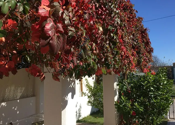 Perto Da Coelha Albufeira