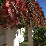 Perto Da Coelha Албуфейра